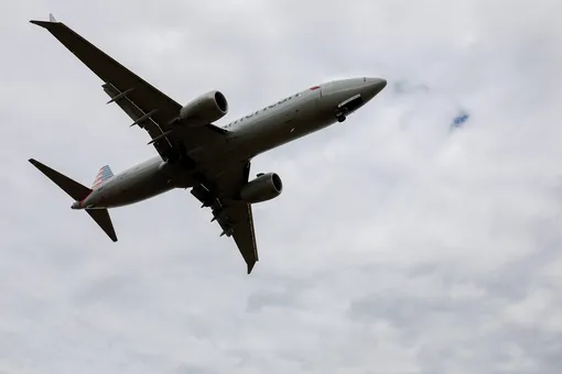 СМИ: причиной крушения Boeing 737 MAX в Эфиопии могла стать птица