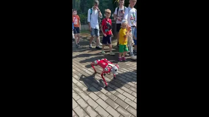 Смотреть