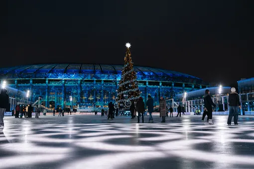 В Лужниках открылся зимний каток В Лужниках открылся зимний каток