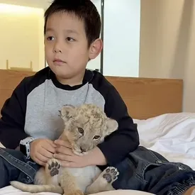 В китайском отеле гостей вместо будильника будит львенок. Услуга уже вызвала споры в соцсетях