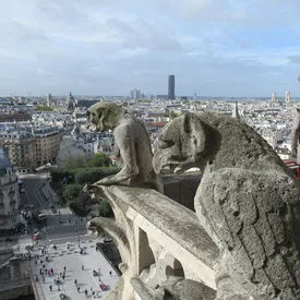 Башни собора Парижской Богоматери снова открыли для публики спустя шесть лет после пожара