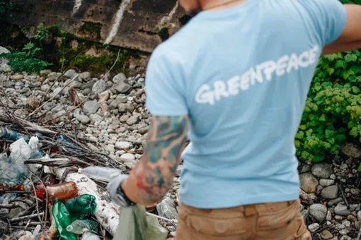 Шесть тысяч фрагментов мусора на берегах Байкала: итоги экспедиции Greenpeace