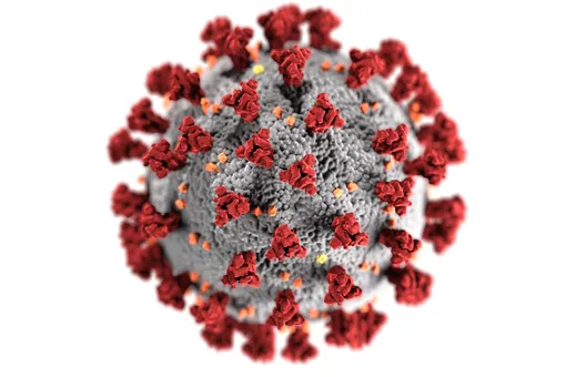 В Южной Африке обнаружен новый штамм коронавируса. Ученые предупредили, что он может быть самым опасным