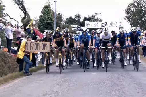 Болельщица с плакатом помешала велосипедисту и устроила массовый завал на гонке «Тур де Франс». Полиция объявила ее в розыск