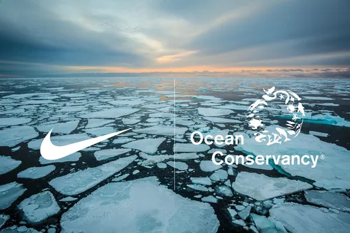 Nike и Ocean Conservancy призывают отказаться от грузового судоходства в Арктике