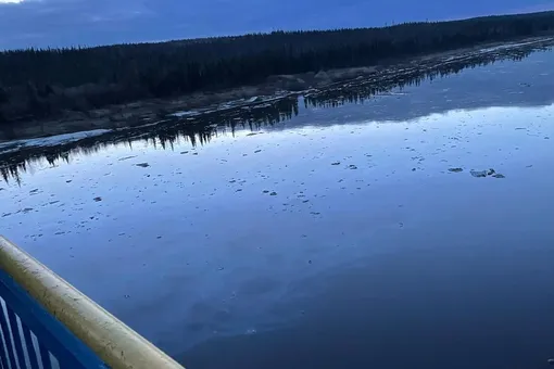 В Коми из-за аварии на трубопроводе в почву и реку попало около 90 тонн нефтепродуктов