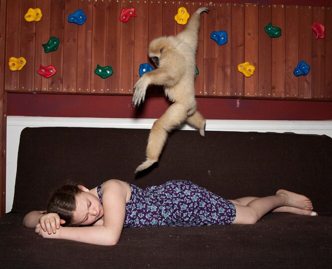 Черный номаскус