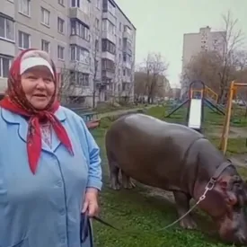 Это реальность или нейросеть? В соцсетях вирусятся реалистичные ИИ-видео, созданные Veo 3 Это реальность или нейросеть? В соцсетях вирусятся реалистичные ИИ-видео, созданные Veo 3