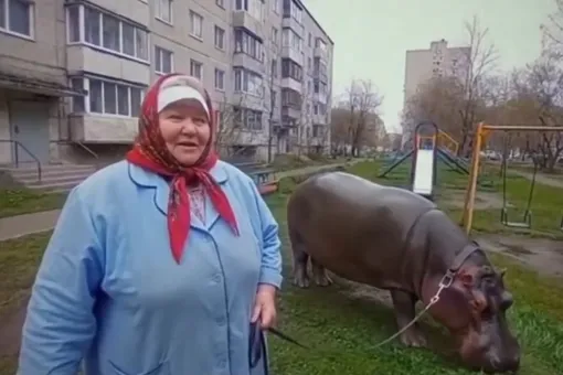 Это реальность или нейросеть? В соцсетях вирусятся реалистичные ИИ-видео, созданные Veo 3 Это реальность или нейросеть? В соцсетях вирусятся реалистичные ИИ-видео, созданные Veo 3