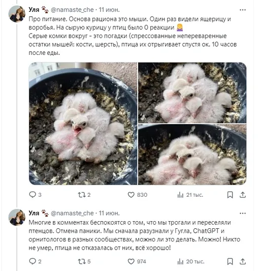 Соцсети Соцсети