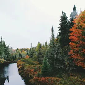Синоптик рассказал, когда похолодает и наступит метеорологическая осень Синоптик рассказал, когда похолодает и наступит метеорологическая осень