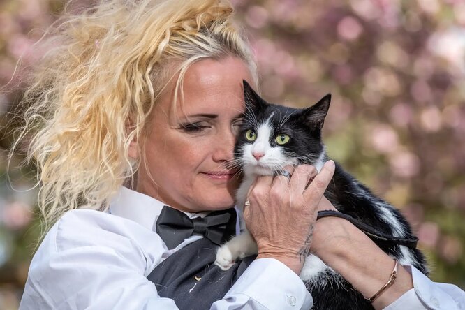 Британка зарегистрировала брак с котом, чтобы обойти запрет арендодателя на домашних животных в доме