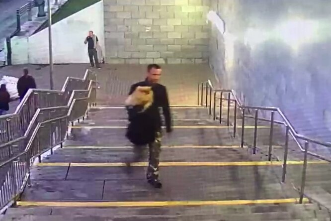 В Москве задержали вора, который вместе с драгоценностями похитил еще и собаку В Москве задержали вора, который вместе с драгоценностями похитил еще и собаку