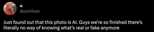 Только что узнала, что это картинка ИИ. Ребята, мы дошли до того, что у нас больше нет возможности распознать, что правда, а что фейк