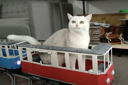 Ютьюбер сделал из Lego радиоуправляемые вагончики и железную дорогу для своих котов