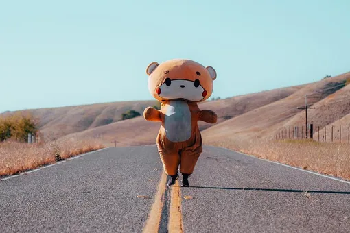 Американец в костюме медведя прошел более 770 километров из Лос-Анджелеса в Сан-Франциско. Он собрал $17 тысяч на благотворительность