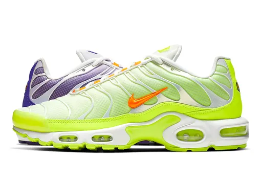 Nike Air Max Plus Color Flip
