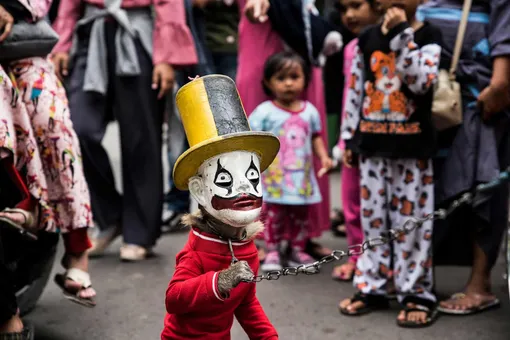 Победитель, категория «Человек и природа»: фотограф Хуан де ла Малла запечатлел макаку, участвующую в уличных цирковых шоу в Индонезии (подобные шоу запрещены, но все равно проводятся)