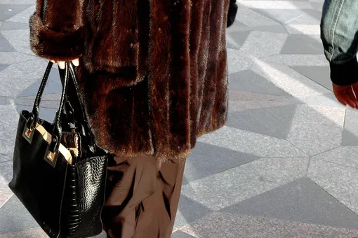 Крупнейший производитель меха норок в мире Kopenhagen Fur объявил о ликвидации из-за убийства миллионов норок в Дании