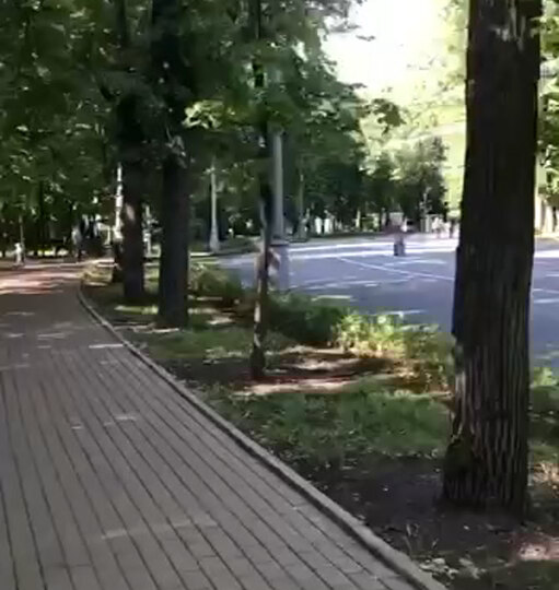 Смотреть