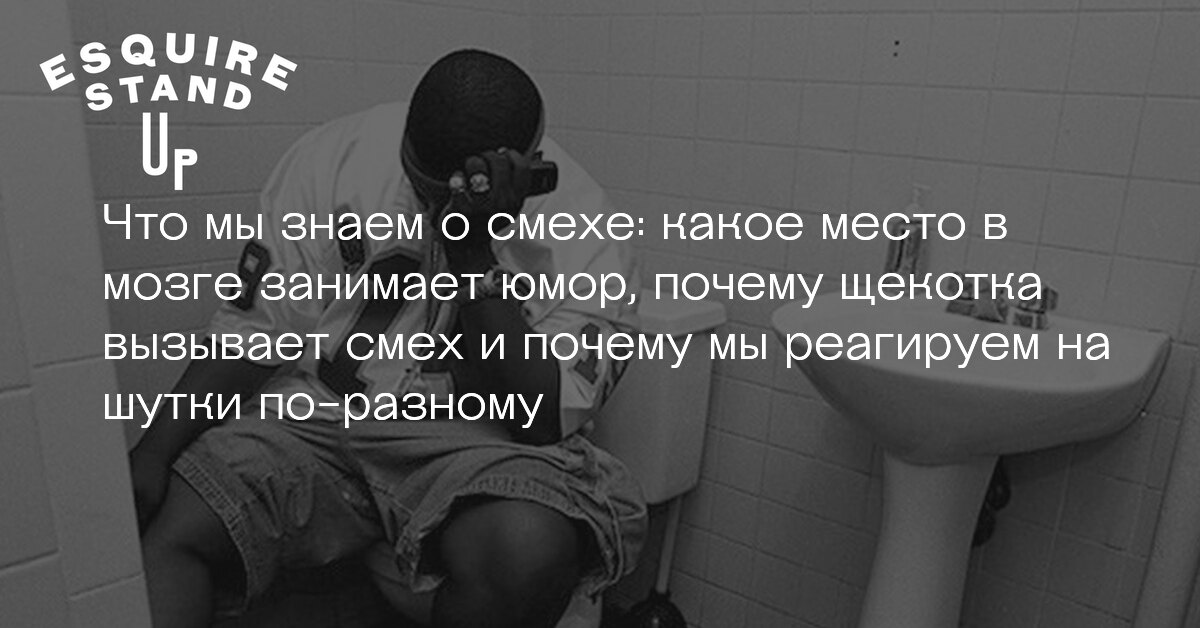 Анекдоты про животных: 50+ самых смешных шуток Шутки не для твича: юмор без ограничений и цензуры