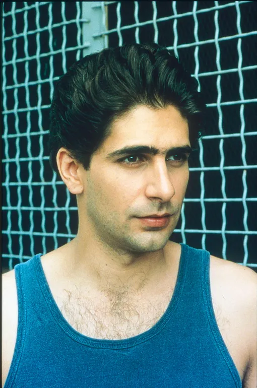 Майкл Империоли в «Клане Сопрано» Майкл Империоли