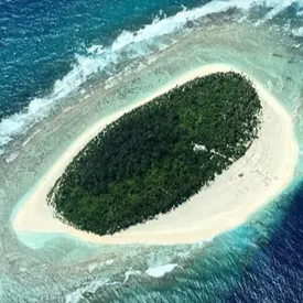 Моряки больше недели выживали на необитаемом острове. Их спасла надпись HELP, которую они выложили пальмовыми листьями Моряки больше недели выживали на необитаемом острове. Их спасла надпись HELP, которую они выложили пальмовыми листьями