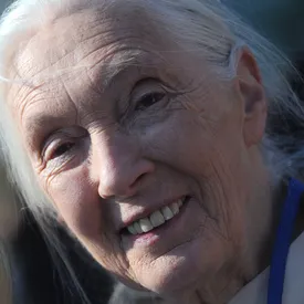 Netflix запустил проект Famous Last Words — это серия посмертных интервью с известными людьми Netflix запустил проект Famous Last Words — это серия посмертных интервью с известными людьми