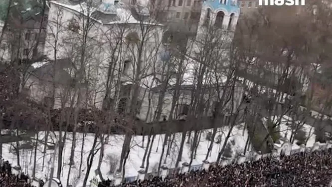 Смотреть