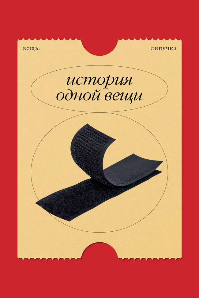История одной вещи: застежка-липучка, «позаимствованная» у репейника