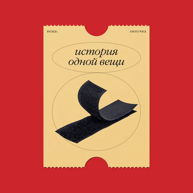 История одной вещи: застежка-липучка, «позаимствованная» у репейника