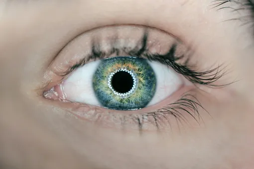 Более 350 человек по всему миру вживили себе глазные импланты Second Sight. А потом компания разорилась и прекратила поддержку устройств