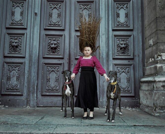 Английские борзые