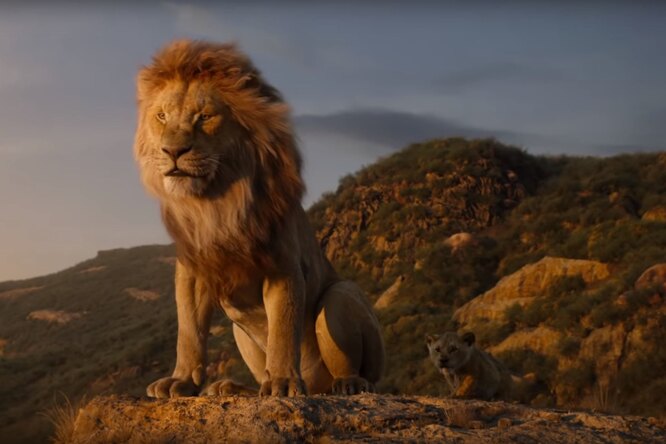 В ремейке «Короля Льва» есть одна сцена, которую сняли по-настоящему. Это пейзаж во вступлении