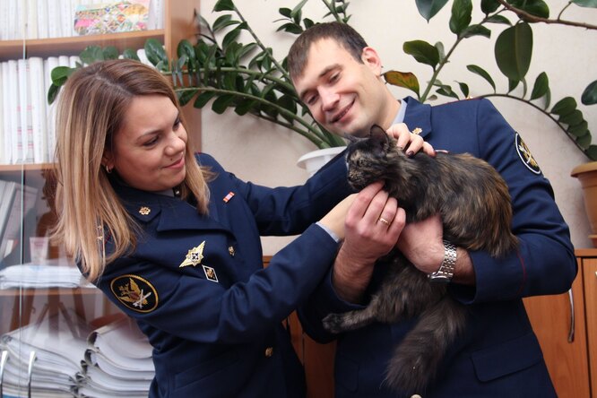Поймана еще одна кошка-наркокурьер. Она доставляла наркотики в колонию в Татарстане