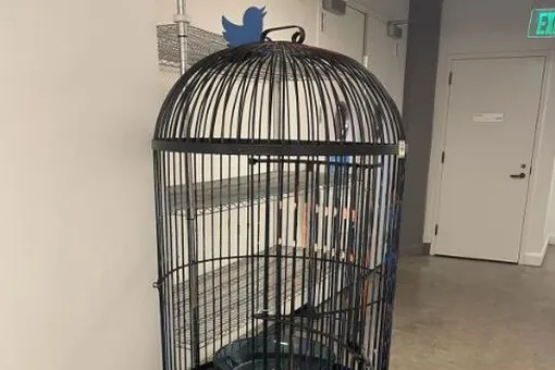 Соцсеть X Илона Маска выставила на аукцион вещи из штаб-квартиры Twitter