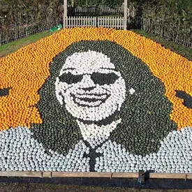 Фермеры попали в Книгу рекордов Гиннесса, собрав из тыкв портрет Оззи Осборна Фермеры попали в Книгу рекордов Гиннесса, собрав из тыкв портрет Оззи Осборна