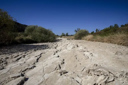 August 08, 2022 The dried bed of the drought-affected Doubs River is seen in Arcon, France, August 8, 2022. REUTERS/Denis Balibouse