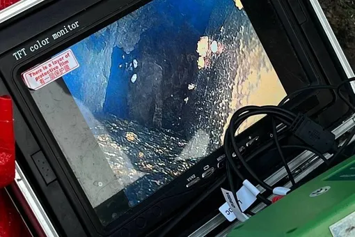 В Петербурге уже 5 дней пытаются спасти кота. Он застрял в облицовке набережной Фонтанки В Петербурге уже 5 дней пытаются спасти кота. Он застрял в облицовке набережной Фонтанки