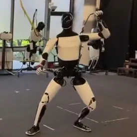 Илон Маск показал, как робот-гуманоид Optimus учится кунг-фу Илон Маск показал, как робот-гуманоид Optimus учится кунг-фу