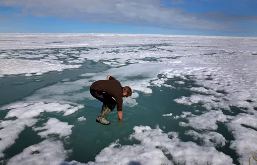 Исследователь Джош Джонс окунает руку в растаявший арктический лед, чтобы понять, насколько соленой может быть вода. Барроу, Аляска