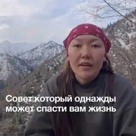 «Совет, который может спасти вам жизнь»: в TikTok вирусится видео о том, «как справиться» с хищной птицей. Комментаторы упражняются в остроумии «Совет, который может спасти вам жизнь»: в TikTok вирусится видео о том, «как справиться» с хищной птицей. Комментаторы упражняются в остроумии