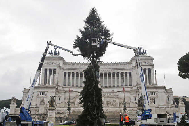В Риме установили главную рождественскую елку, но она не понравилась жителям города (снова)