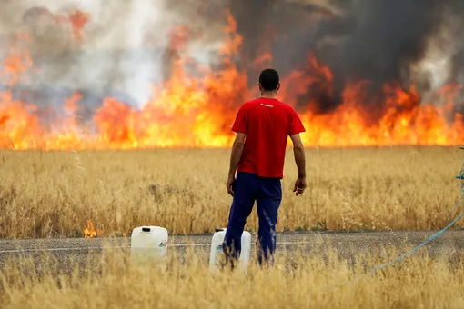 Европу накрыла экстремальная жара: рекордные температуры, больше 1000 смертей, лесные пожары и падающие в полете птицы. Главное