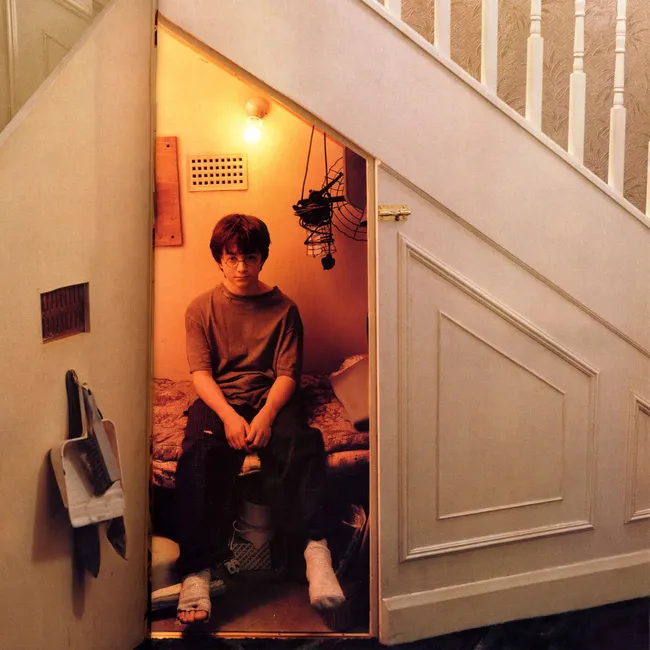 Вспомнить все: 16 странных фанатских теорий о Гарри Поттере