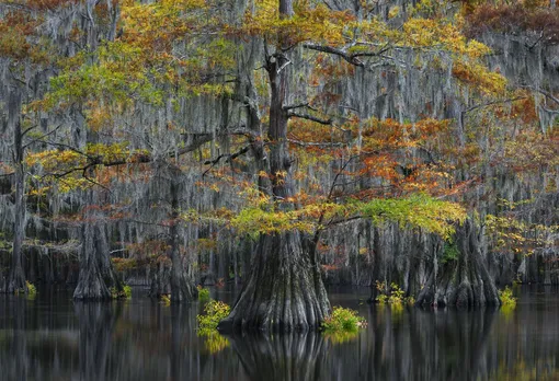 Southern United States #Thorsten Scheuermann / International Landscape Photographer of the Year