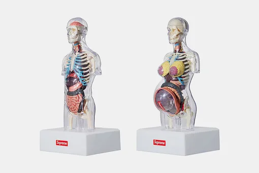 В осенней коллекции Supreme есть анатомические манекены и еще много неожиданных вещей
