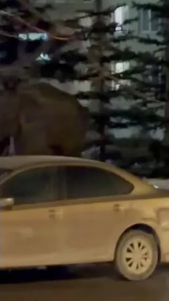 Смотреть Смотреть