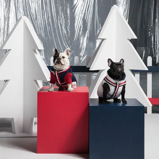 Moncler x Poldo Dog Couture