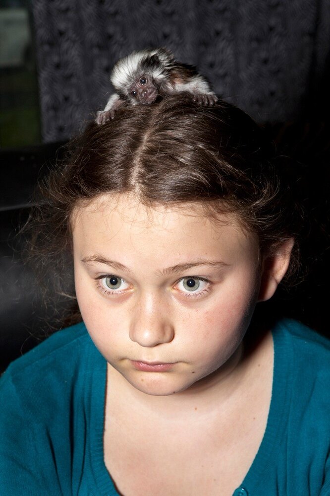 Тамарин Грэм